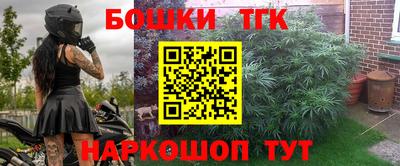 дурь Сланцы