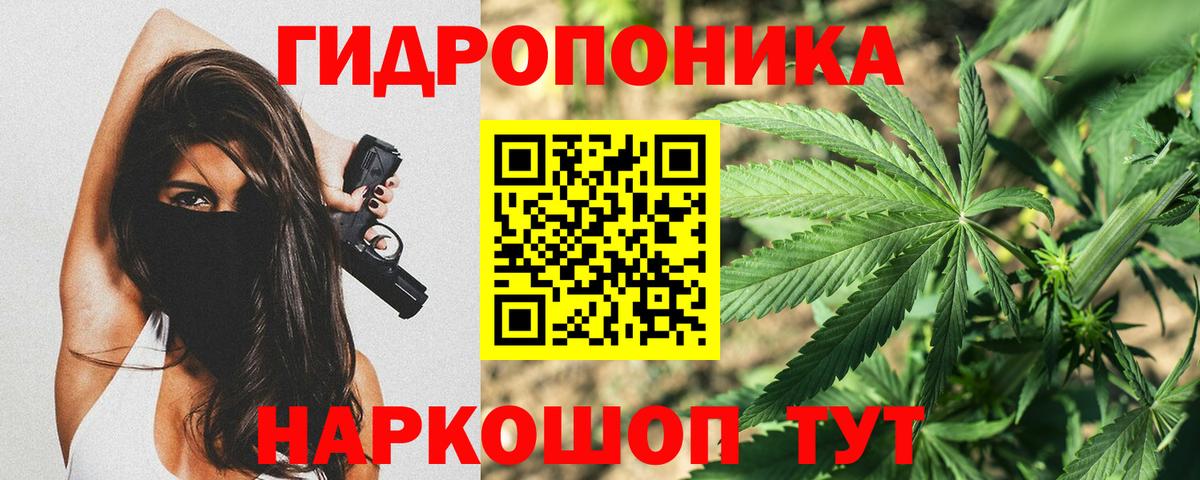 Отрадный  Бошки марихуана тримм  Марихуана индика  Канабис марихуана  Канабис ГИДРОПОН  Вход с VPN 